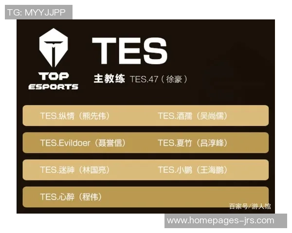 TES战术深度解析:王者荣耀中的策略与团队协作探讨